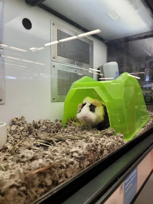 Petco Picture 2