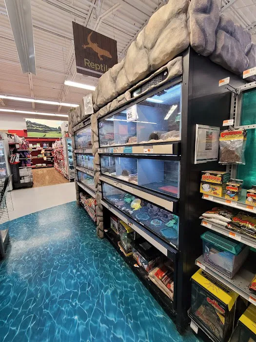 Petco Picture 3