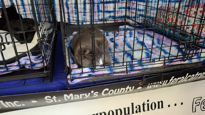 Petco Picture 8