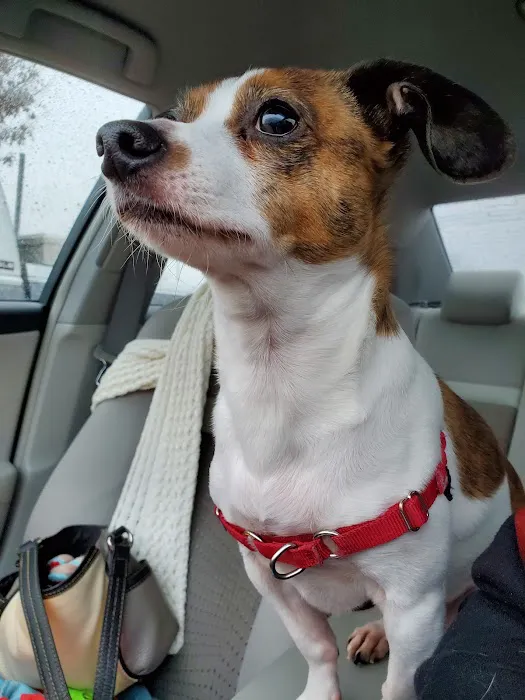 Petco Picture 2