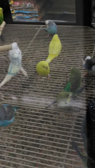Petco Picture 10