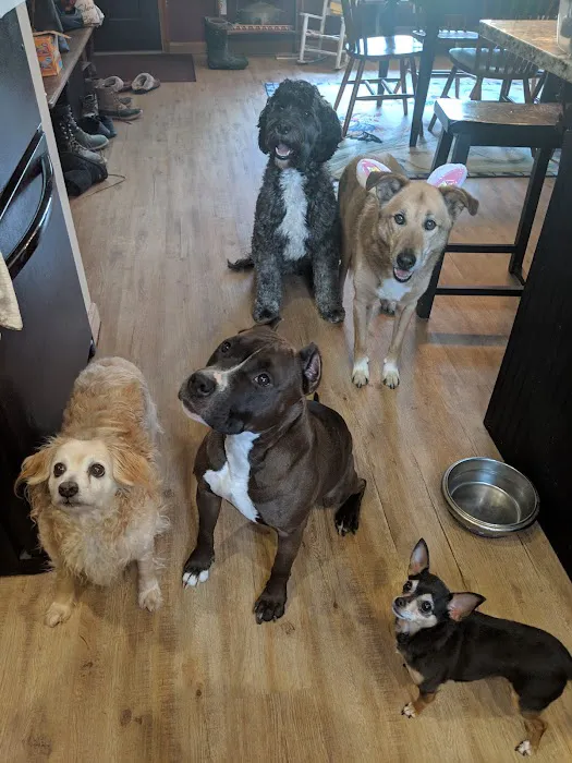 Madonna Veterinary Clinic Inc Picture 9