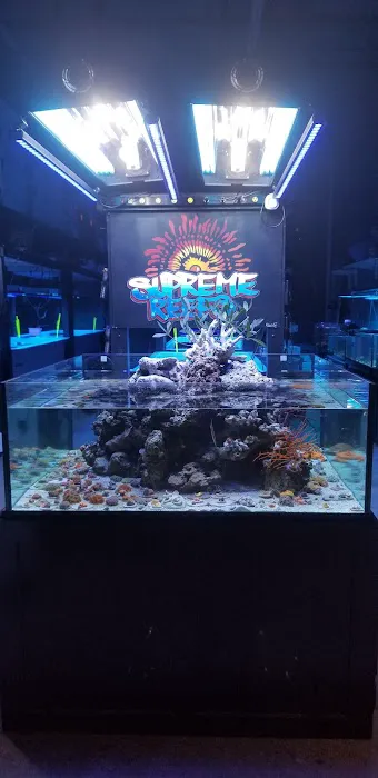 Supreme Reefs Picture 6