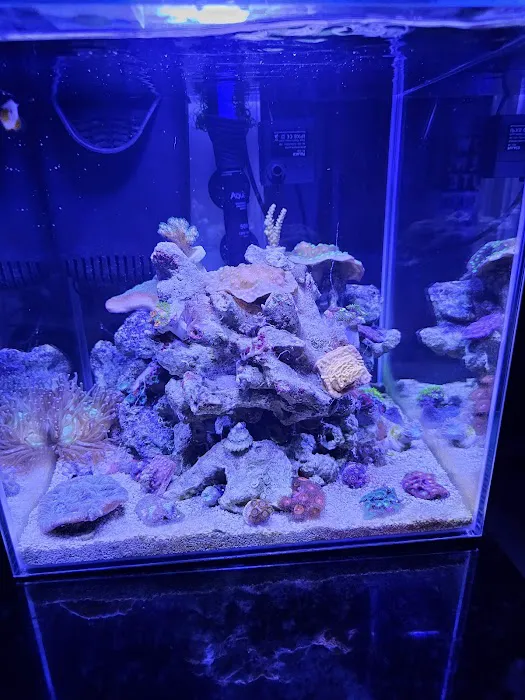 Supreme Reefs Picture 10