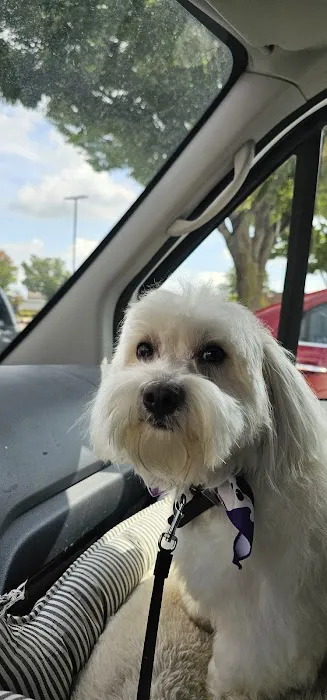 Petco Picture 10