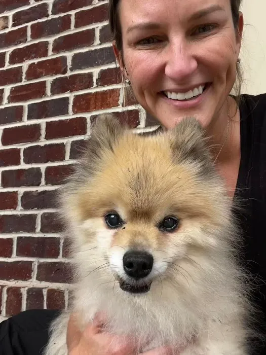 The Puppy Shop Picture 1