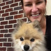 The Puppy Shop ico