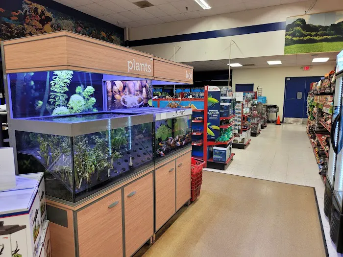 Petco Picture 3