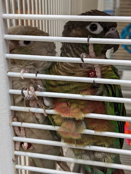 Petco Picture 4