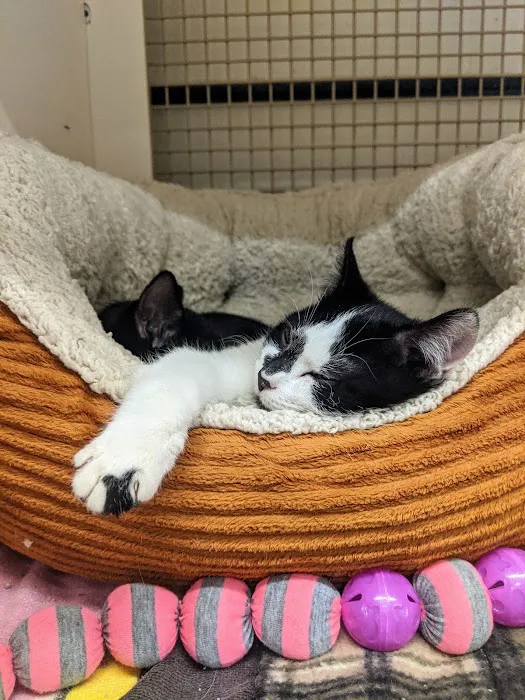 Petco Picture 6