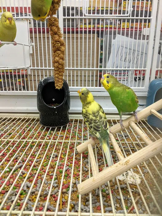 Petco Picture 7