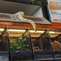 Appalachian Reptiles & Aquatics ico
