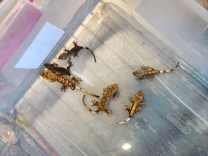 Appalachian Reptiles & Aquatics Picture 2