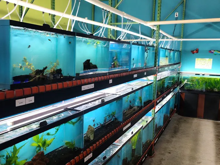 Appalachian Reptiles & Aquatics Picture 3