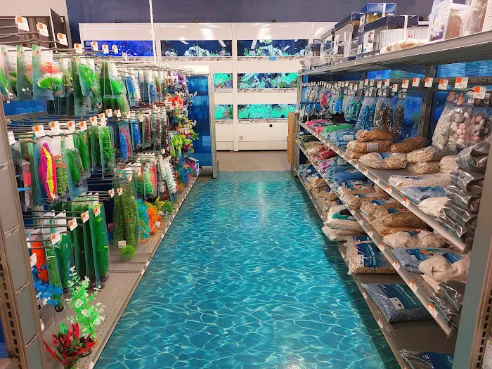 Petco Picture 2