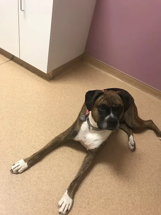 Dr. Ruby Schaupp Picture 1