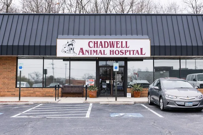 Chadwell Animal Hospital Picture 2