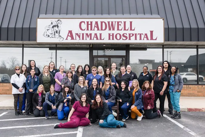 Chadwell Animal Hospital Picture 1