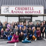 Chadwell Animal Hospital