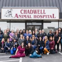 Chadwell Animal Hospital ico