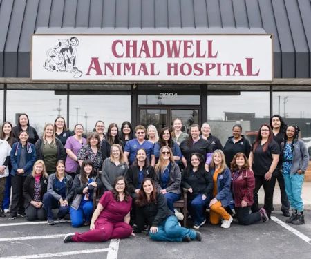 Chadwell Animal Hospital
