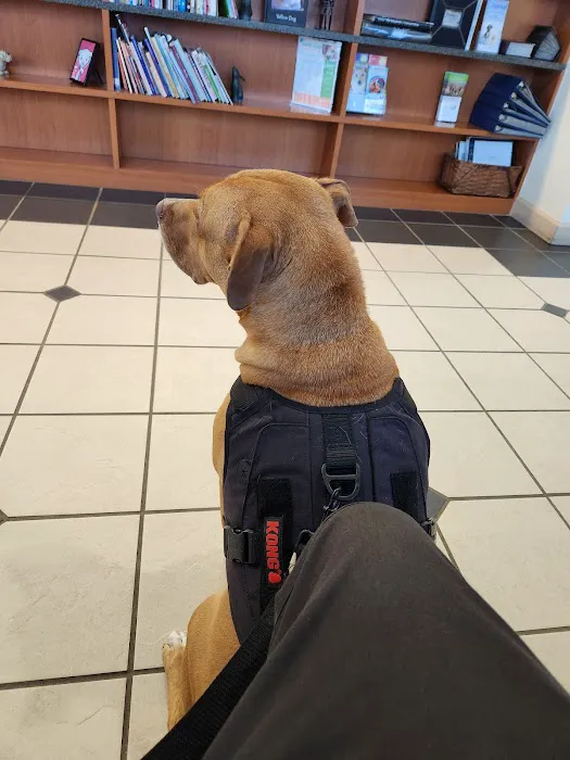 Chadwell Animal Hospital Picture 8
