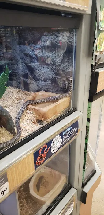 Petco Picture 3