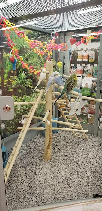 Petco Picture 4
