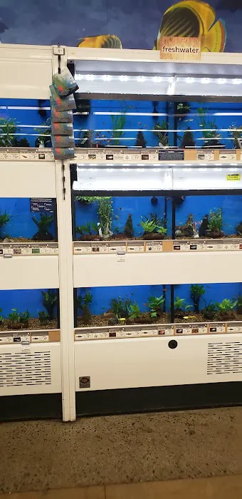 Petco Picture 8