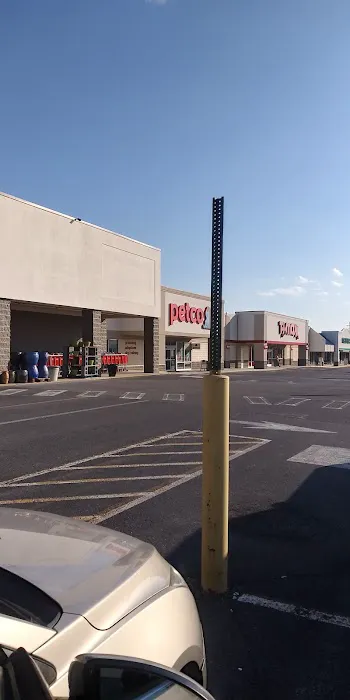 Petco Picture 9