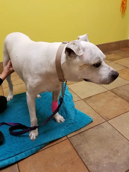 Banfield Pet Hospital Picture 2