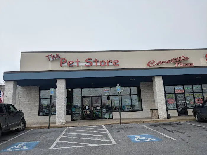 The Pet Store Picture 1