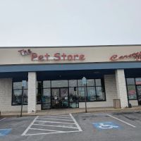 The Pet Store ico