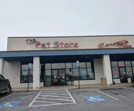 The Pet Store