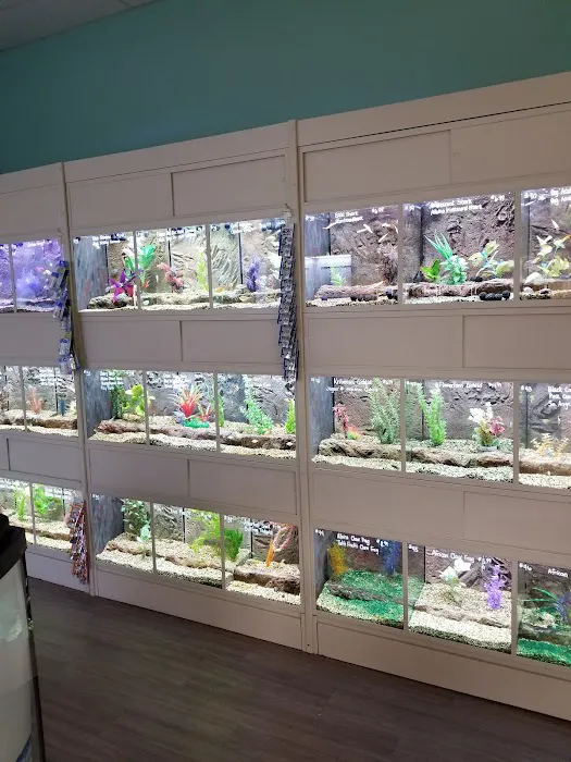 The Pet Store Picture 4