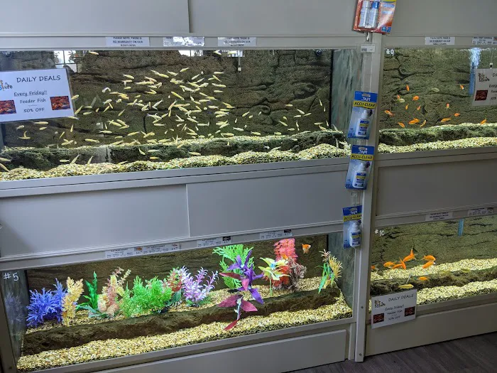 The Pet Store Picture 7