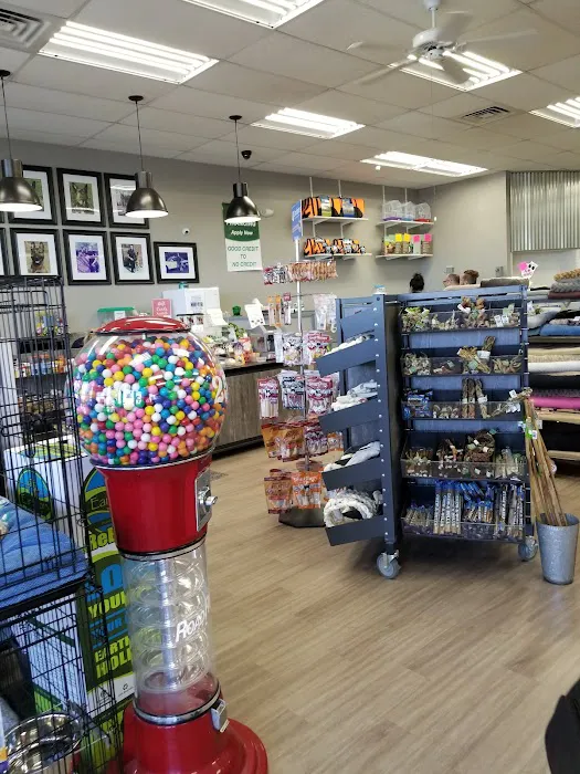 The Pet Store Picture 8