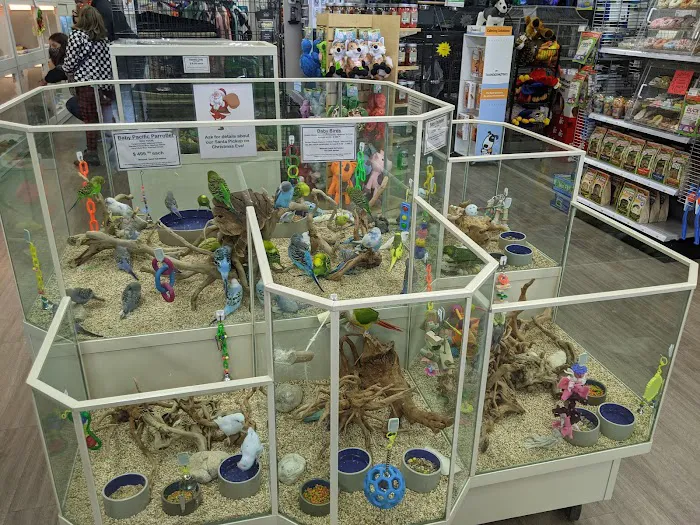 The Pet Store Picture 9