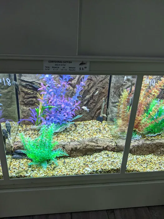 The Pet Store Picture 10