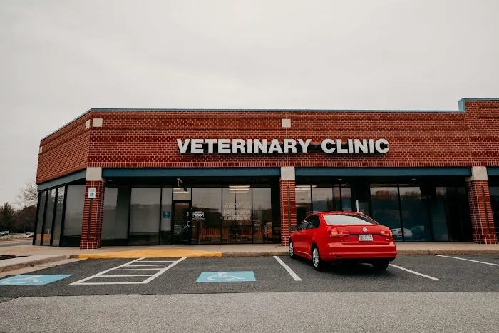 Festival Veterinary Clinic Picture 1
