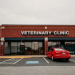 Festival Veterinary Clinic