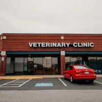 Festival Veterinary Clinic ico