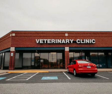 Festival Veterinary Clinic
