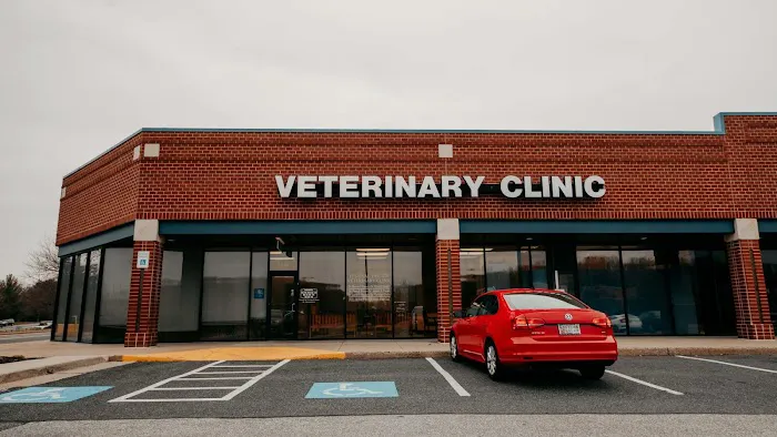 Festival Veterinary Clinic Picture 2