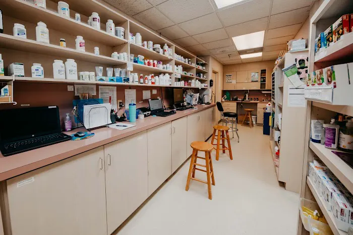 Festival Veterinary Clinic Picture 6