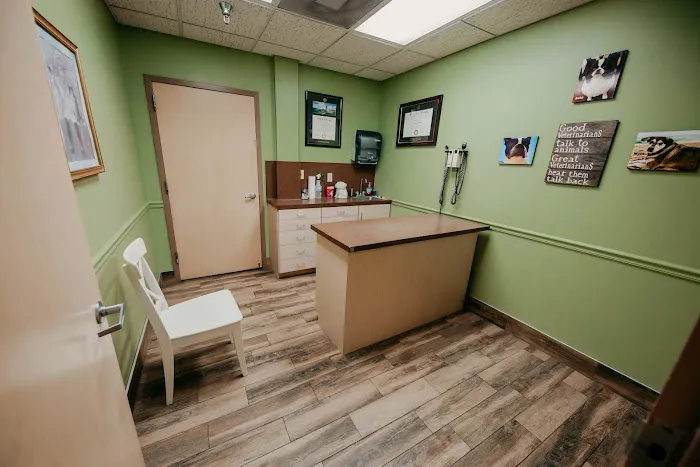 Festival Veterinary Clinic Picture 7