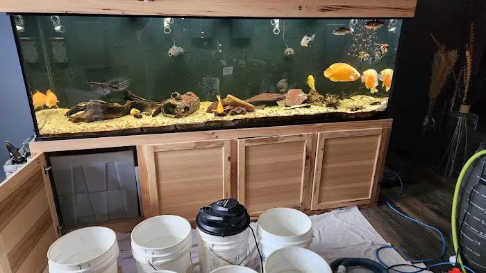 TriState Aquariums Picture 1