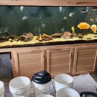 TriState Aquariums ico