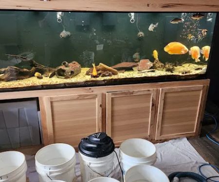 TriState Aquariums