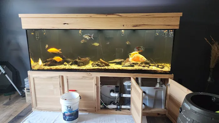 TriState Aquariums Picture 2